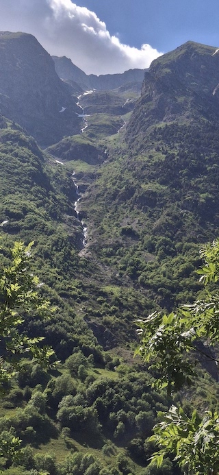 20260617_162454.jpg